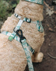 Lucy & Co. - Lucy & Co. x Parks Project Sequoia Seedlings No-Pull Harness