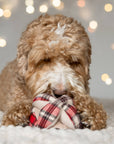 Lambwolf Collective - FLANNEL MONTI // ENRICHMENT DOG TOY // HOLIDAY