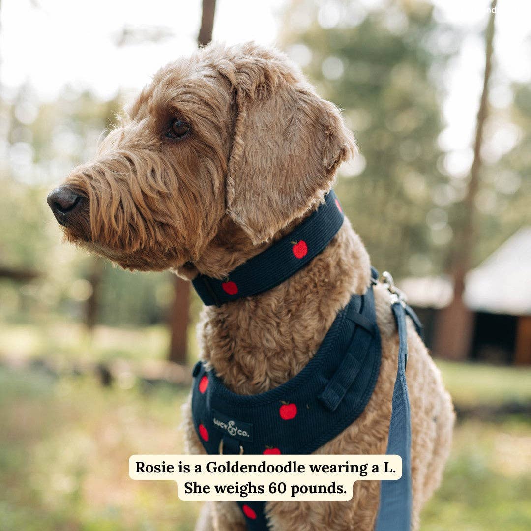 Lucy &amp; Co. - Appley Ever After Corduroy Collar