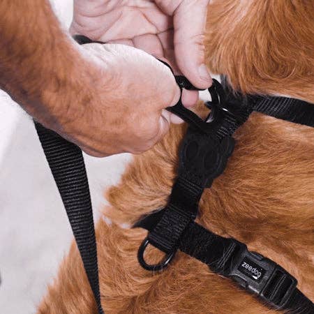 Zee.Dog - Neopro Amazonia | H-Harness: Large