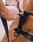Zee.Dog - Neopro Amazonia | H-Harness: Large