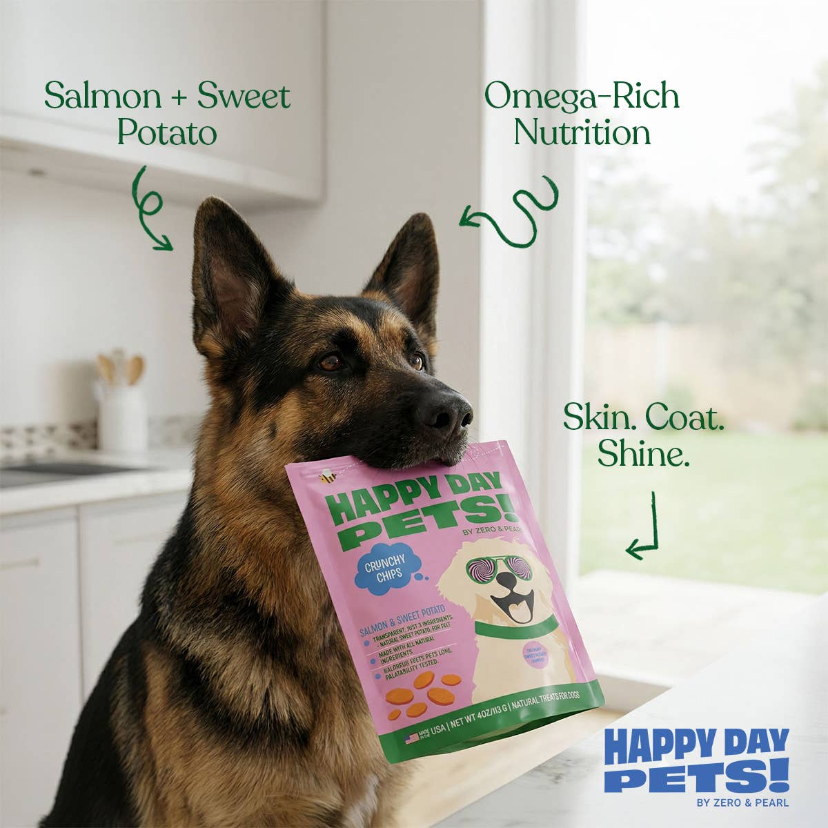 Happy Day Pets - Happy Day Pets Salmon &amp; Sweet Potato Chips Dog Treats