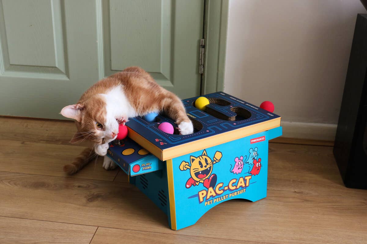 SUCK UK Ltd - USA - Cat Toy Arcade - Cardboard PacMan inspired arcade machine