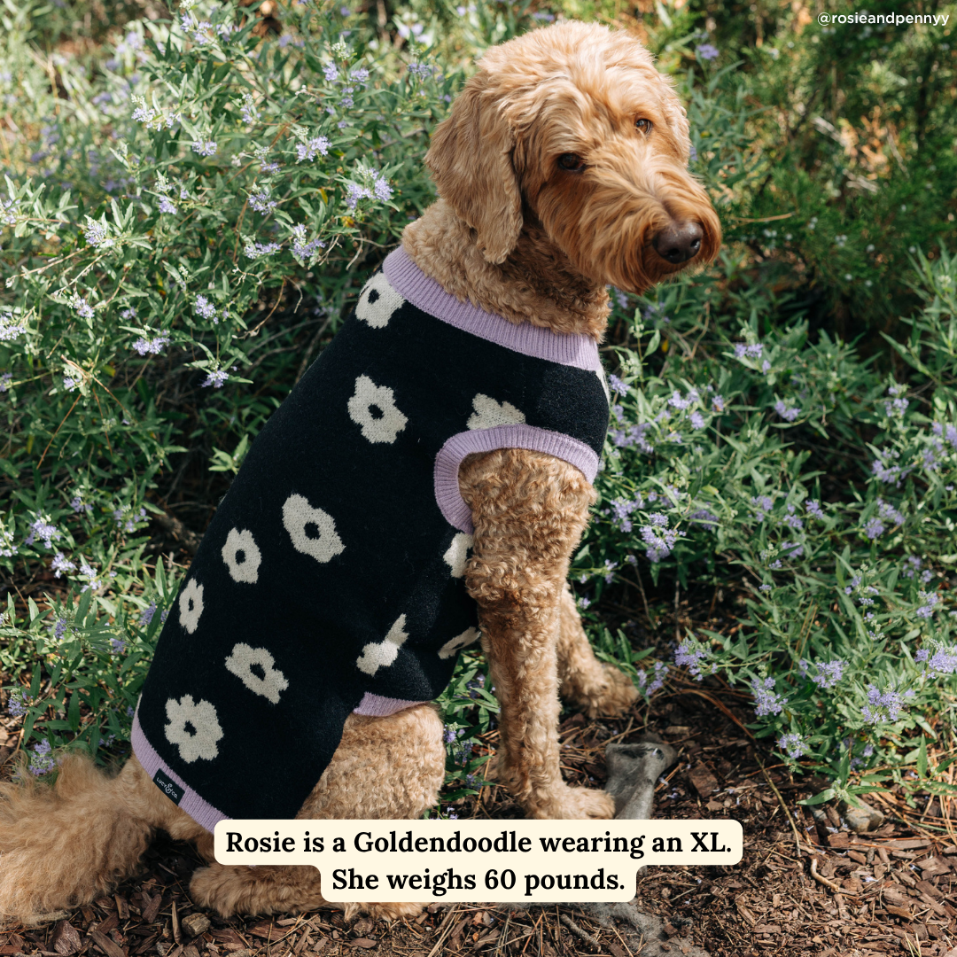 Lucy &amp; Co. - Far Out Sweater