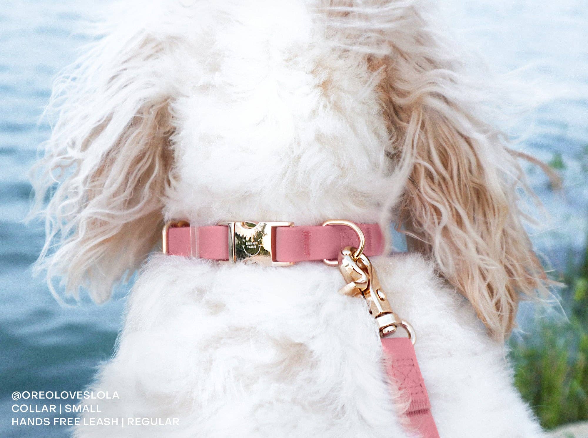 SUNNY TAILS - Perfect Pink Waterproof Dog Collar: LARGE