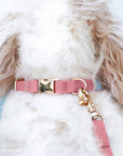 SUNNY TAILS - Perfect Pink Waterproof Dog Collar: LARGE