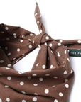 The Paws - Chocolate Dot Dog Bandana