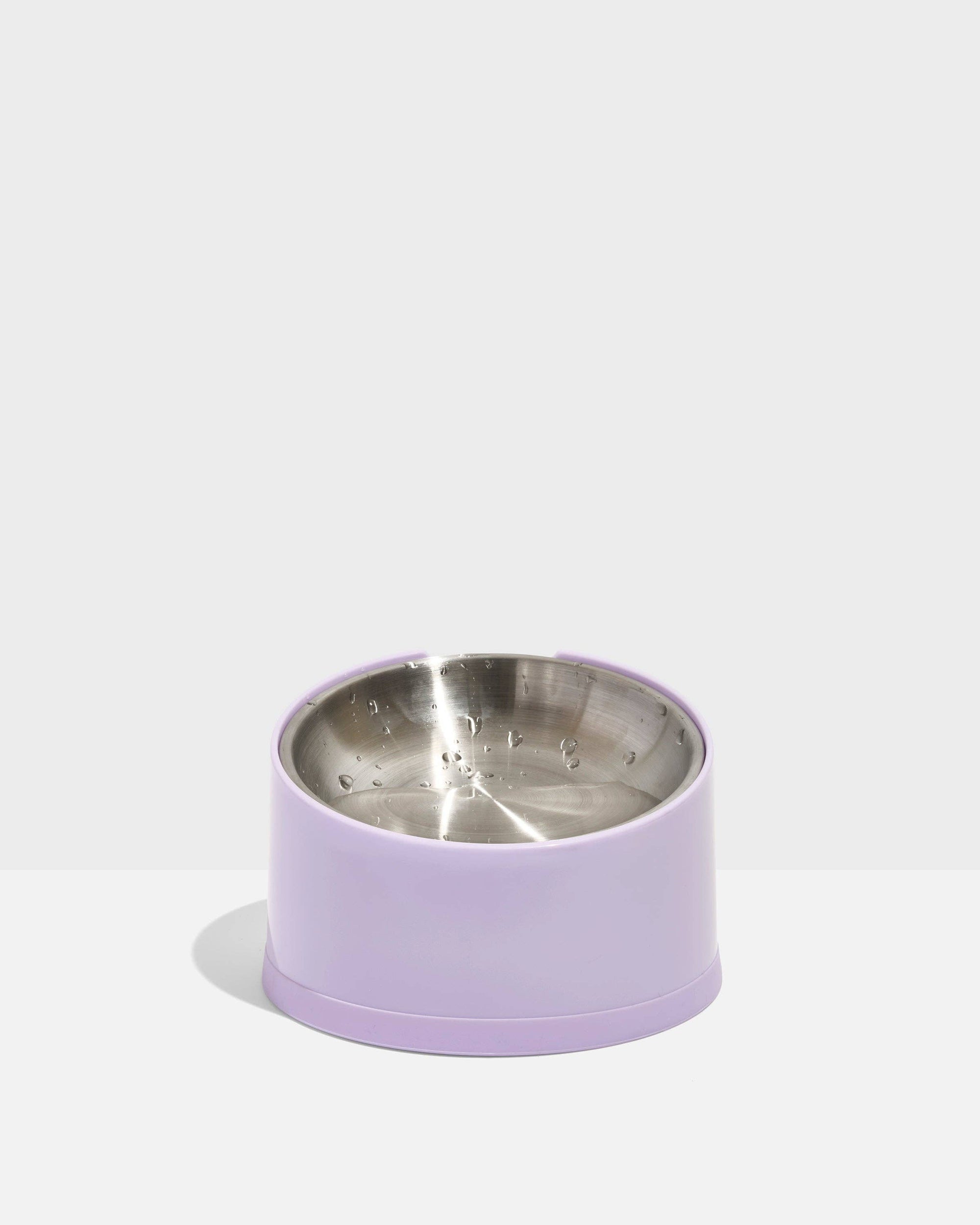 Wild One - Slanted Cat Bowl: Lilac