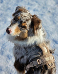Furlou - 'Sand' - Sherpa Dog Harness