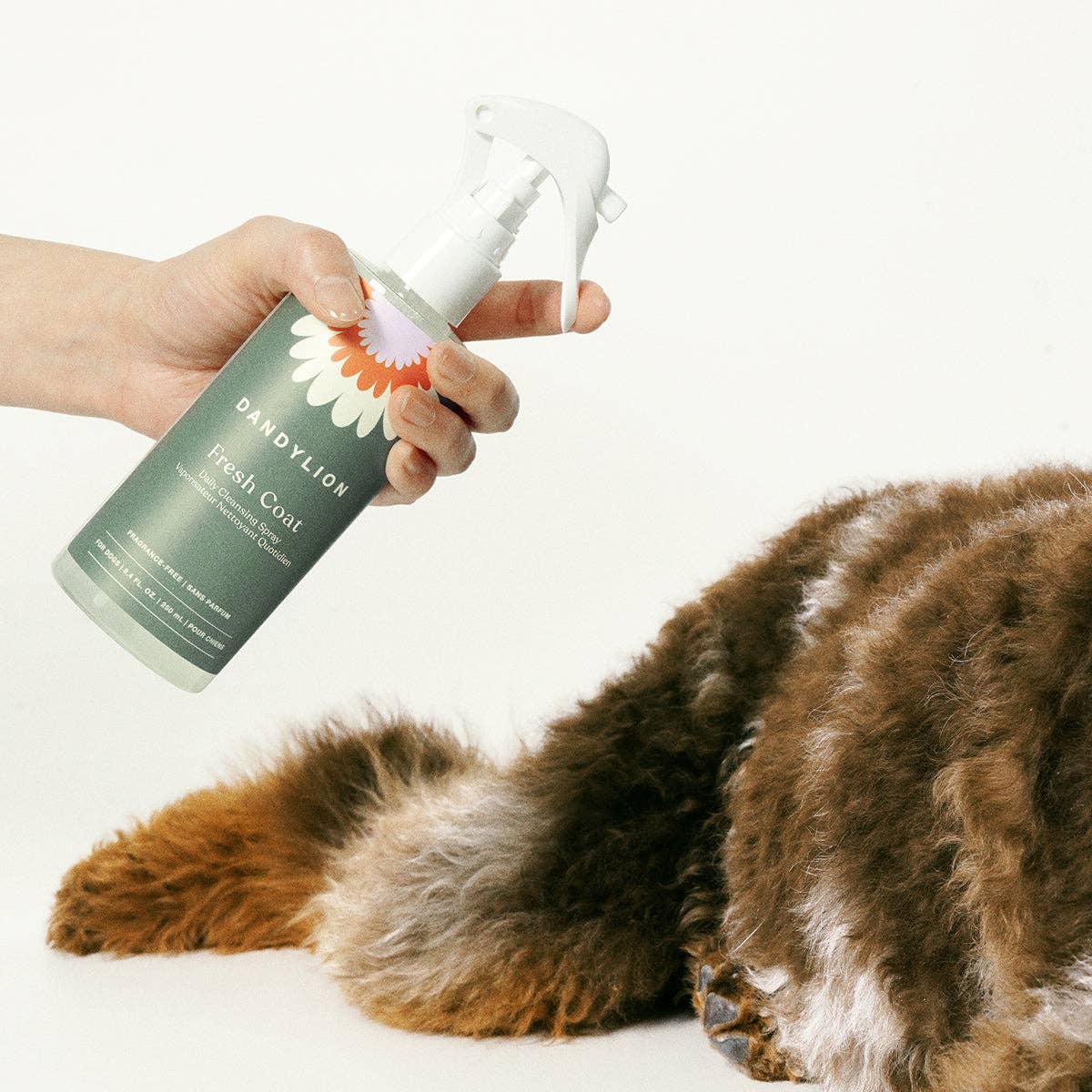 Dandylion - Fresh Coat Daily Cleansing Spray