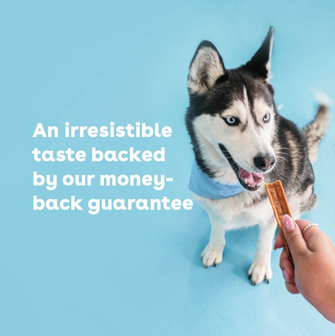Pupford - Soft Chicken Jerky 10 oz