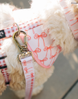 Lucy & Co. - Take a Bow Leash: L