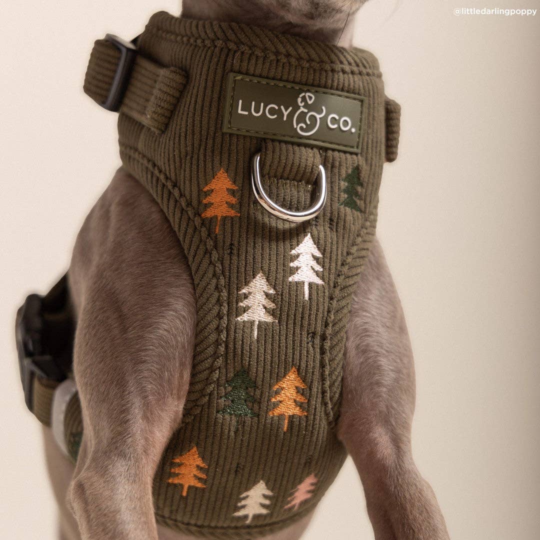 Lucy &amp; Co. - Take a Hike Corduroy No-Pull Harness