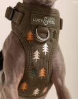 Lucy & Co. - Take a Hike Corduroy No-Pull Harness