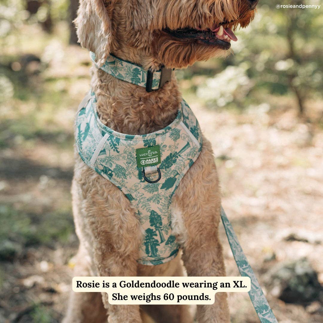 Lucy &amp; Co. - Lucy &amp; Co. x Parks Project Sequoia Seedlings No-Pull Harness