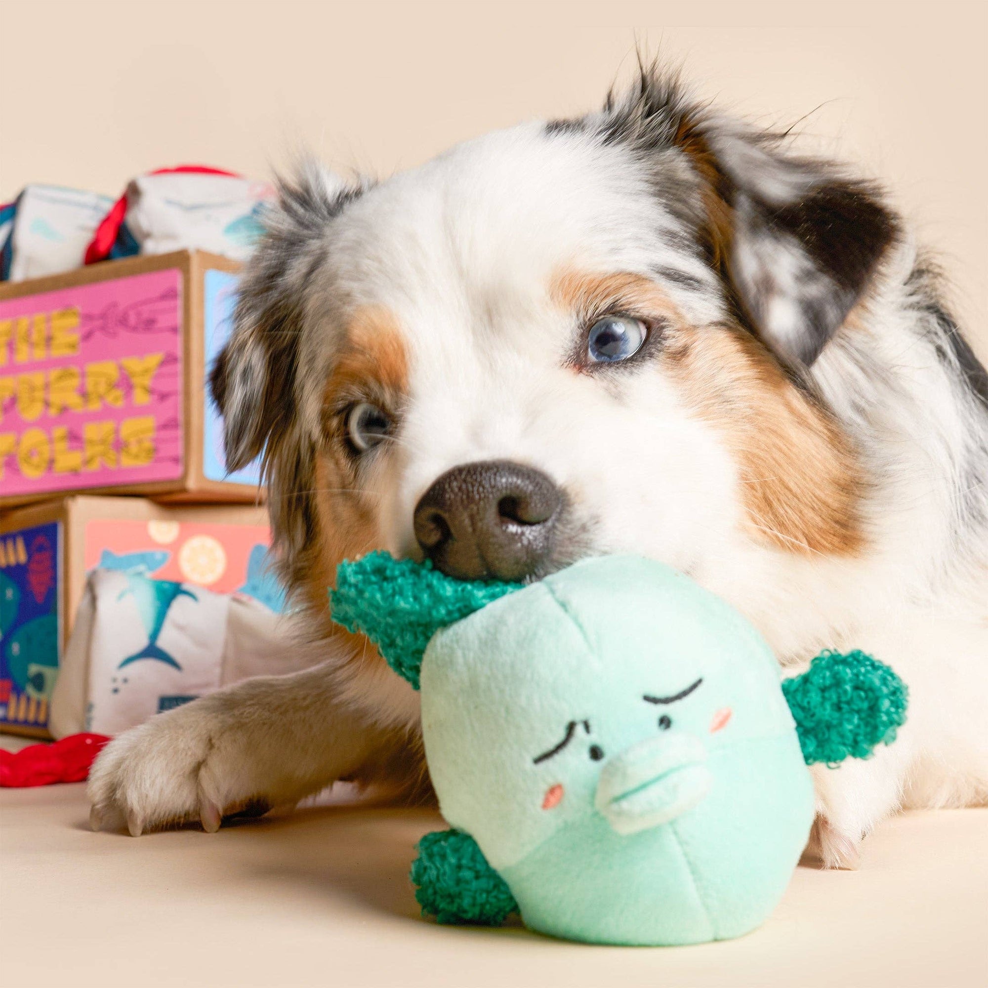the furryfolks - Fish Express Nosework Toy