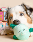the furryfolks - Fish Express Nosework Toy