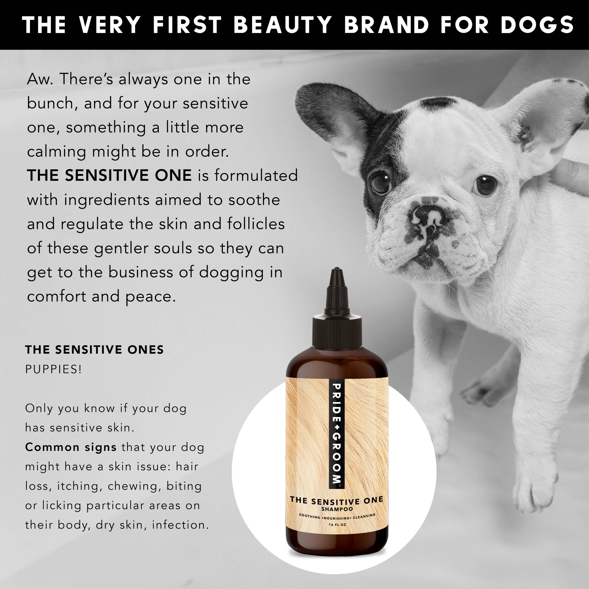 PRIDE+GROOM - THE SENSITIVE ONE | SHAMPOO FOR SENSITIVE COATS + PUPPIES: Medium
