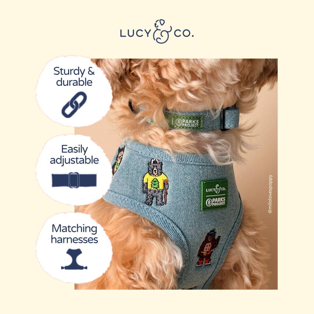 Lucy &amp; Co. - Lucy &amp; Co. x Parks Project Adventures with Friends Collar