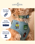 Lucy & Co. - Lucy & Co. x Parks Project Adventures with Friends Collar
