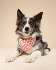 The Paws - Lover Dog Bandana