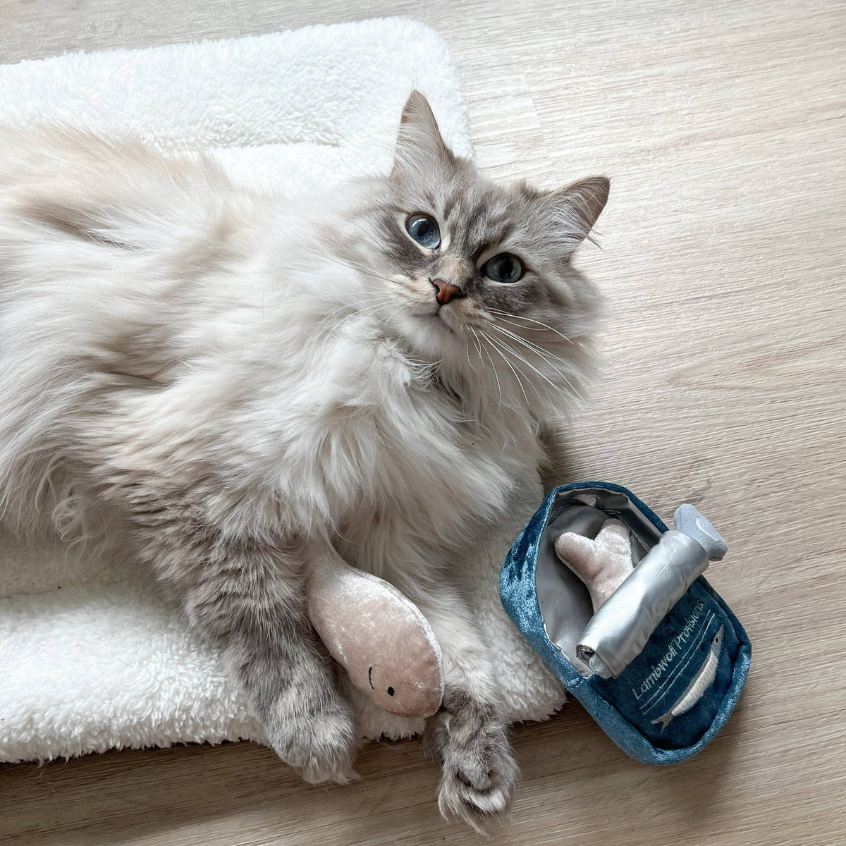 Lambwolf Collective - KITTY SARDINES //  CAT TOY // CATNIP // BURROW