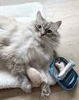 Lambwolf Collective - KITTY SARDINES //  CAT TOY // CATNIP // BURROW