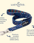 Lucy & Co. - Space Doodle Leash: Large