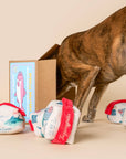 the furryfolks - Fish Express Nosework Toy