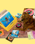 the furryfolks - Vinyl Nosework Toy