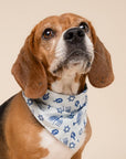 The Paws - Hanukkah Dog Bandana