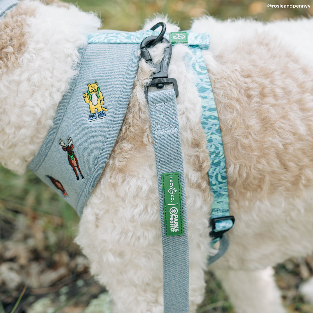 Lucy &amp; Co. - Lucy &amp; Co. x Parks Project Adventures with Friends Reversible Harness