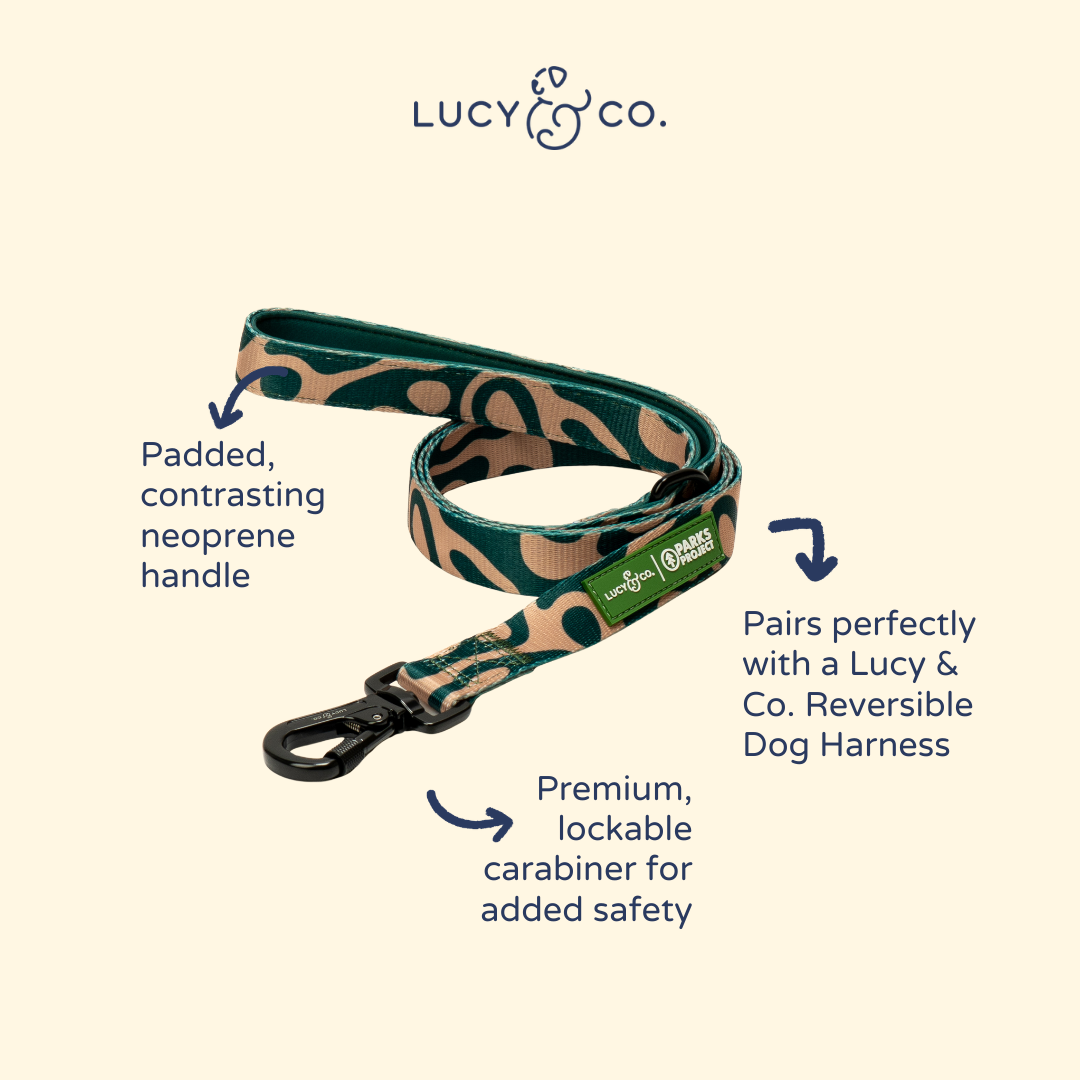 Lucy &amp; Co. - Lucy &amp; Co. x Parks Project Geyser Leash