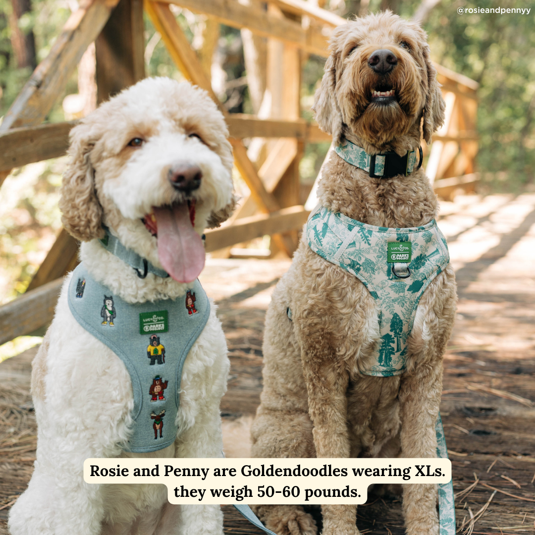Lucy &amp; Co. - Lucy &amp; Co. x Parks Project Adventures with Friends Reversible Harness