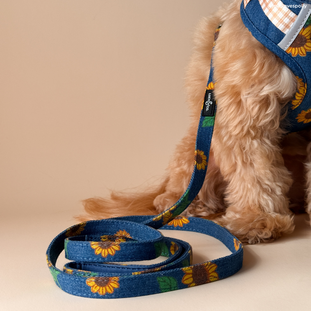 Lucy &amp; Co. - Sunflower Power Denim Leash