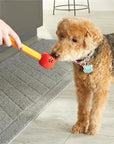 Brightkins Dog Toy Training Set Pooch School