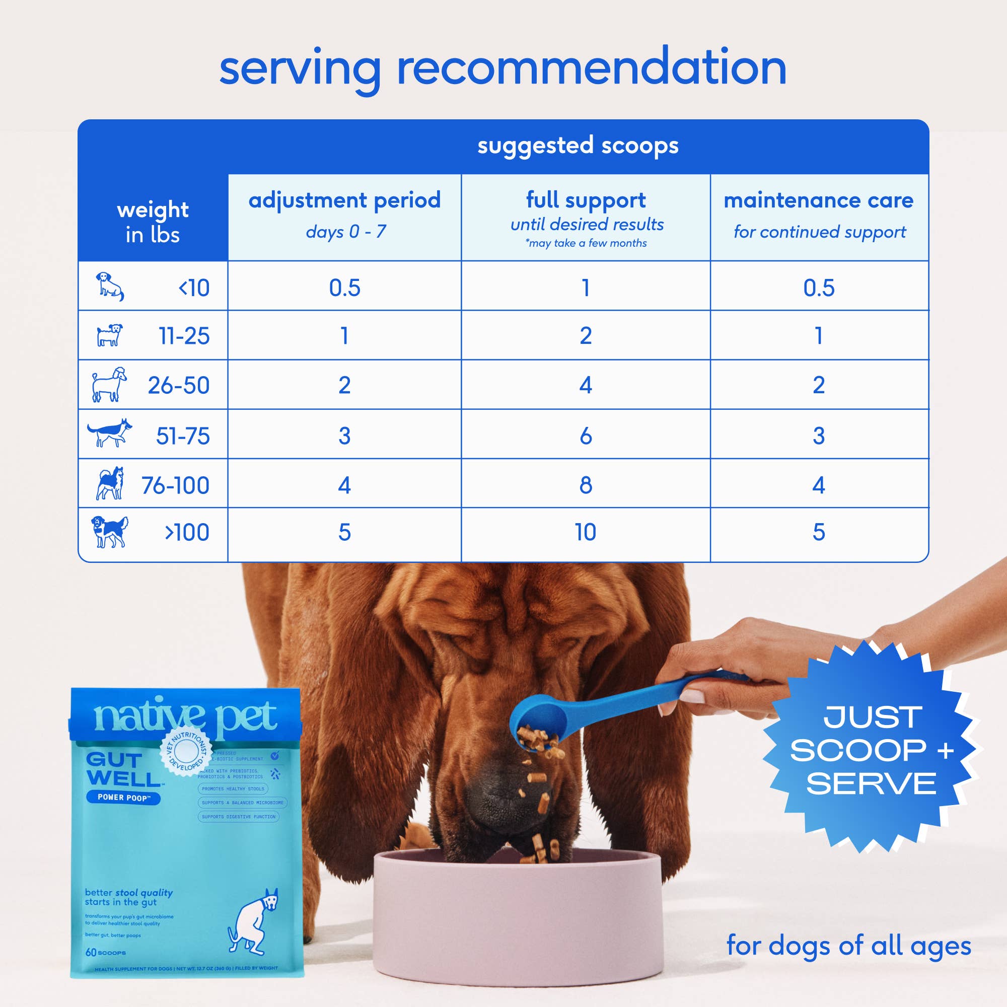 Native Pet - Native Pet GutWell Power Poop Digestion Support Supplement