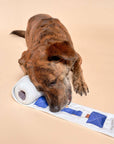 Toilet Paper Nosework Toy