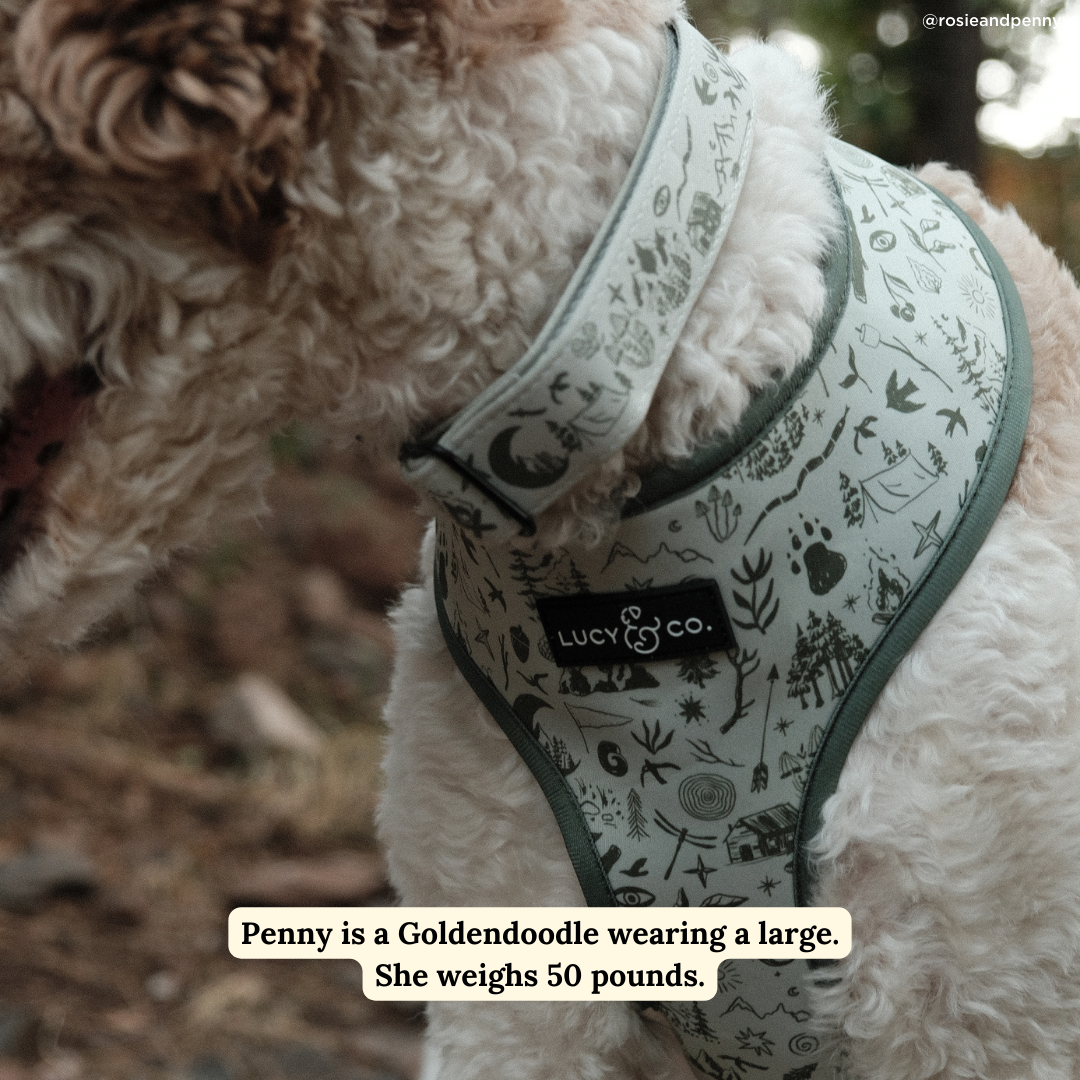 Lucy &amp; Co. - Camp Out Collar: L