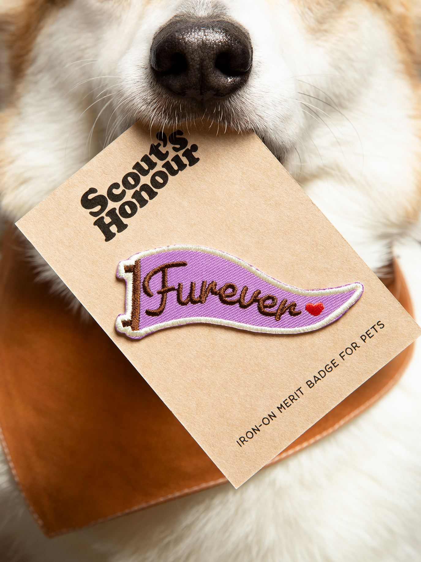 Scout's Honour Pty Ltd - Furever iron-on patch for dogs and cats