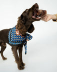 Winnie Lou - Bison Trachea Chews