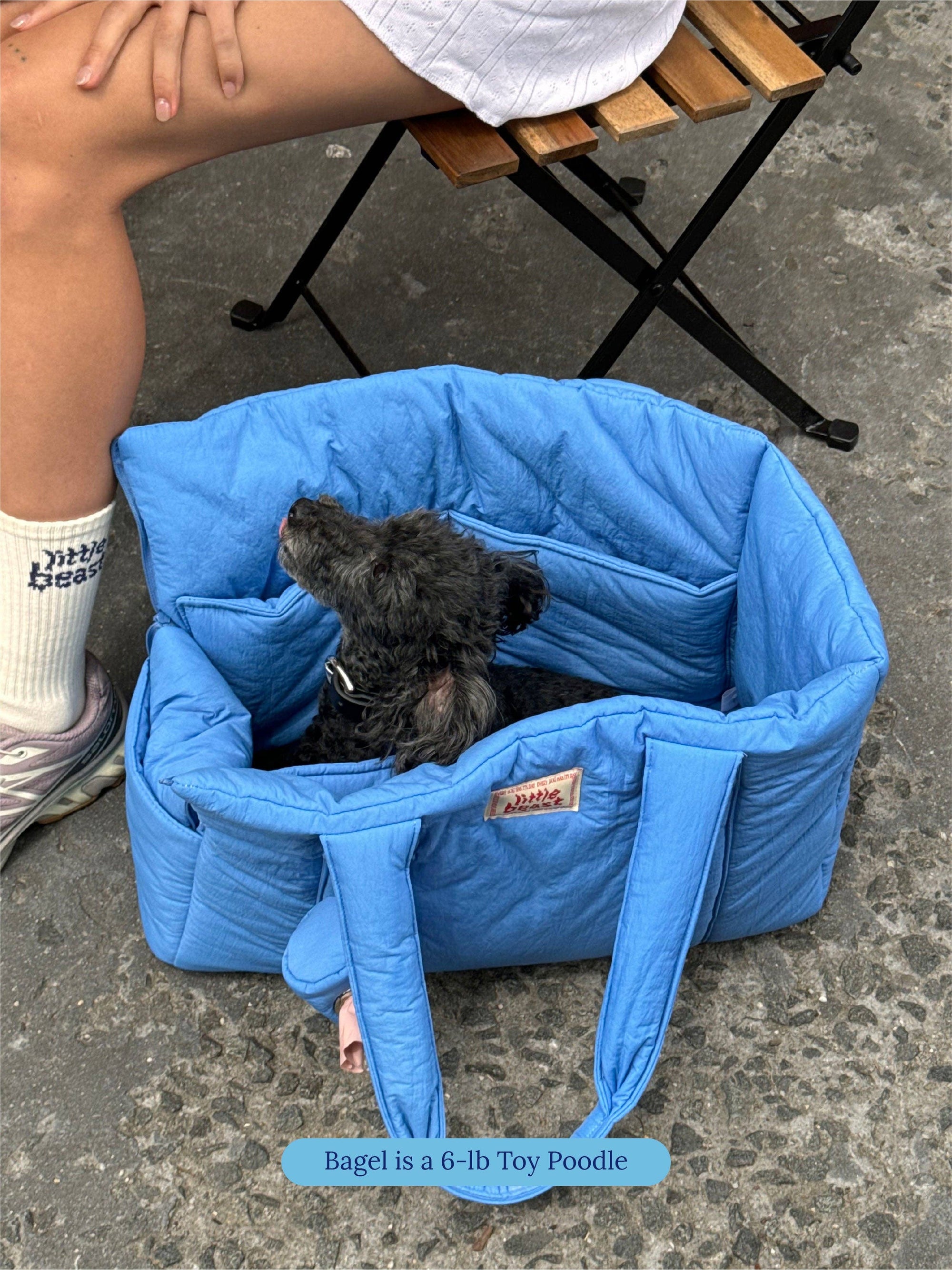 Little Beast - The Little Beast Carrier - Baby: One Size