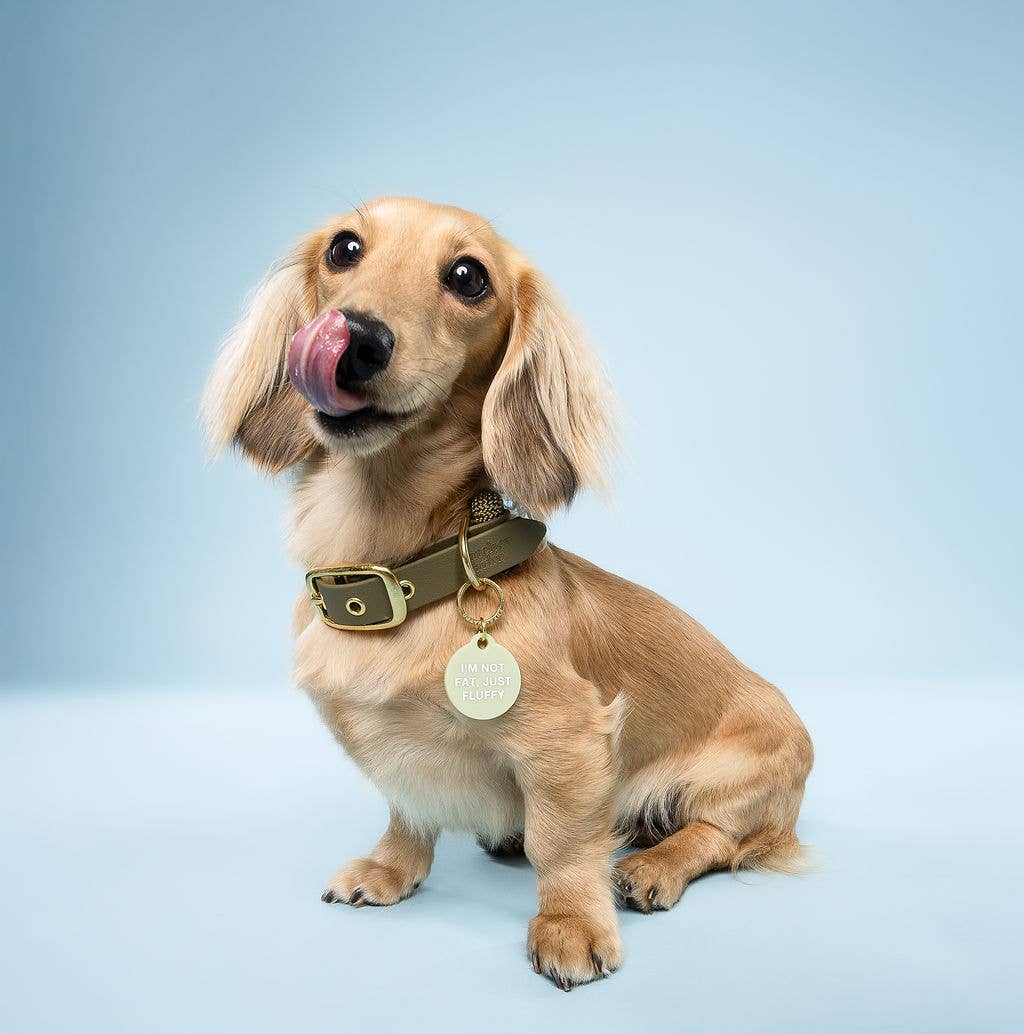 Freshwater Curated Goods™ - Not Fat, Just Fluffy Pet Tag