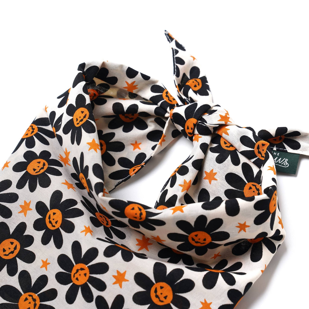 The Paws - Pumpkin Petals Halloween Dog Bandana