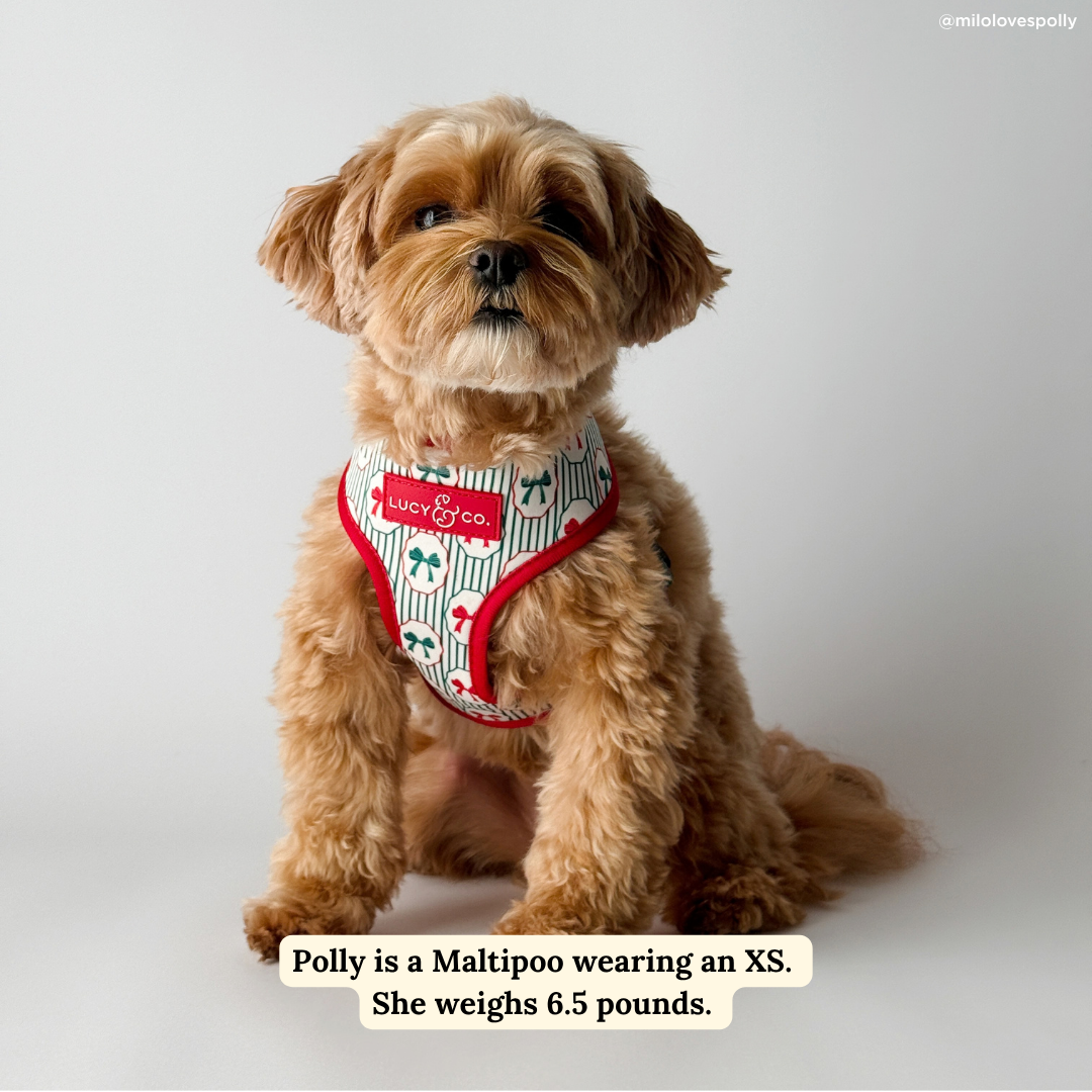 Lucy &amp; Co. - Wrap it Up Reversible Harness