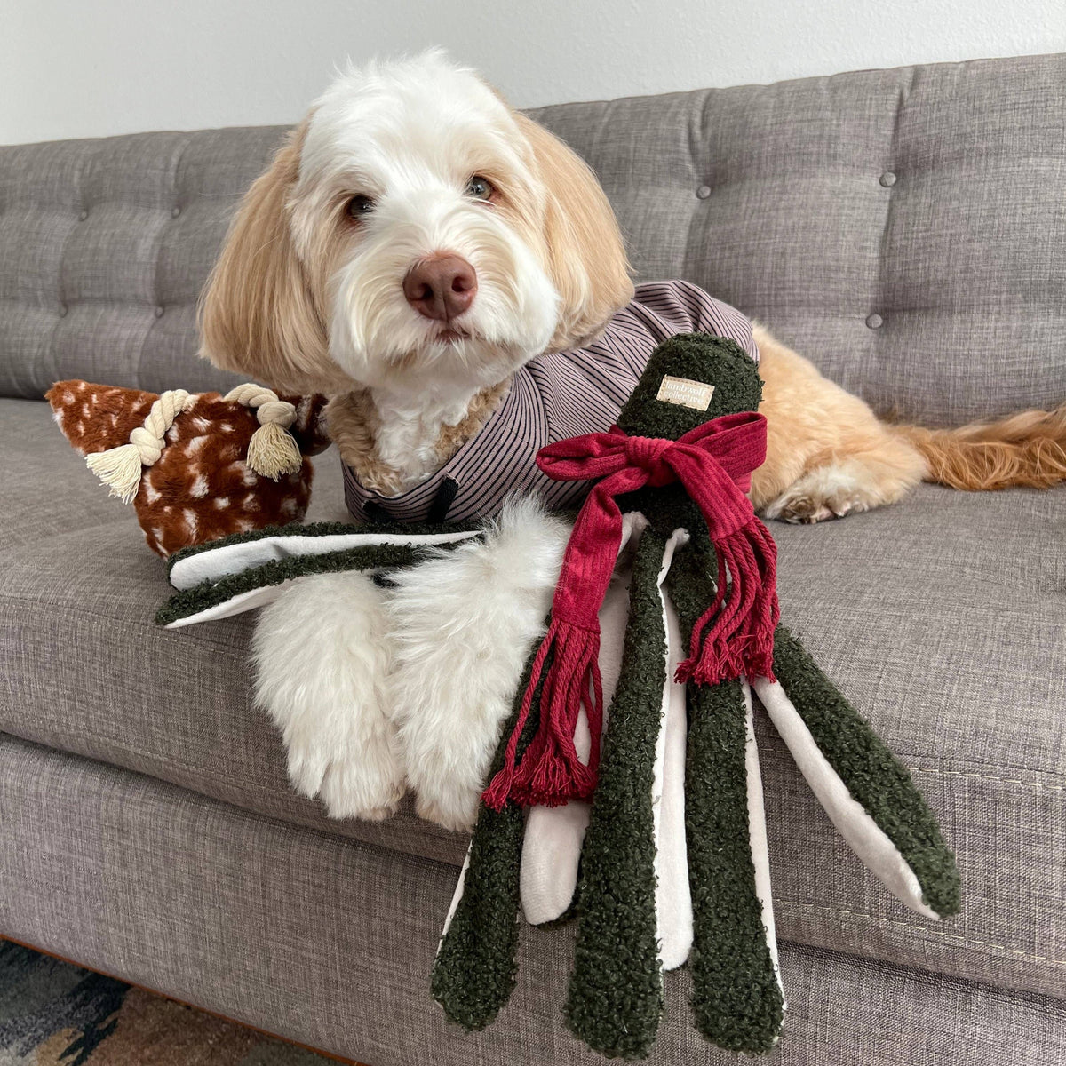 Lambwolf Collective - XMAS TAKO//ENRICHMENT DOG TOY // HOLIDAY : NUDE