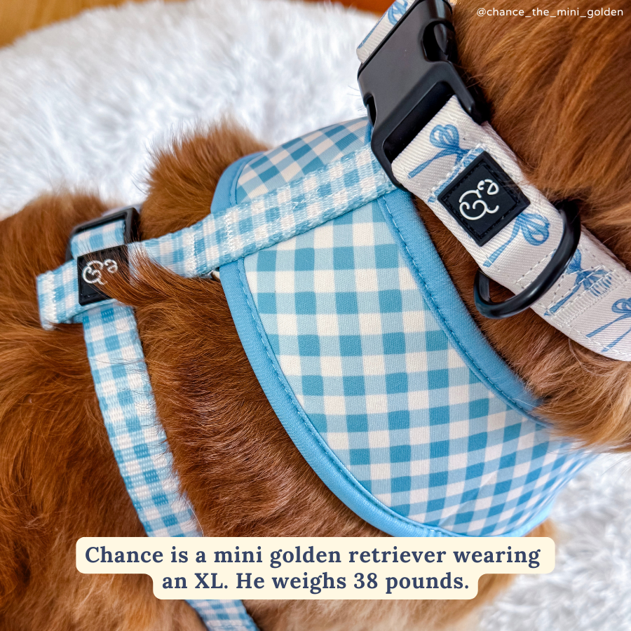 Lucy &amp; Co. - Bowwow Wow! Reversible Harness: L