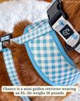 Lucy & Co. - Bowwow Wow! Reversible Harness: L