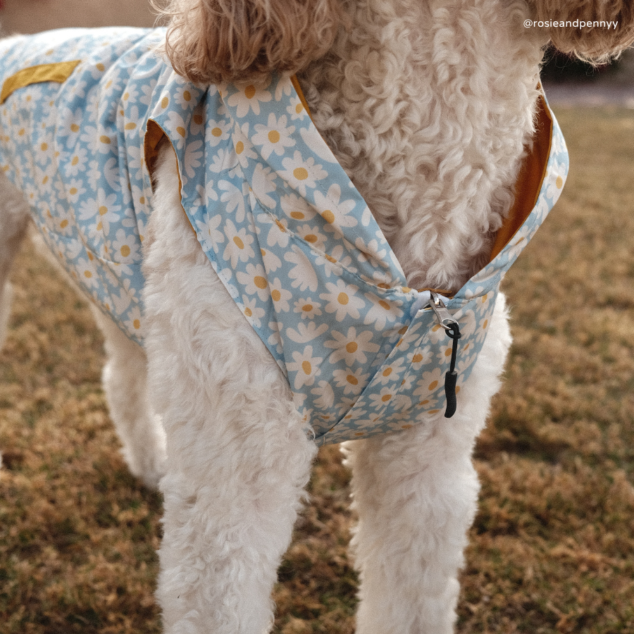 Lucy &amp; Co. - Simply Splendid Reversible Raincoat