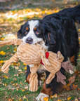 HuggleGroup - Rudy Reindeer Knottie® Durable Plush Dog Toy: Small